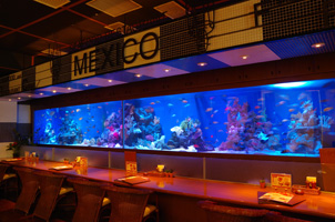 Seafood Restaurant MEXICO (Ariake)